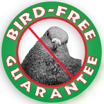 Pigeons Birds Free Logo