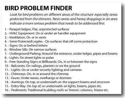 Pigeon control Bird Control Problem Locations on house business