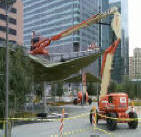 Pigeon control projects Bird control projects